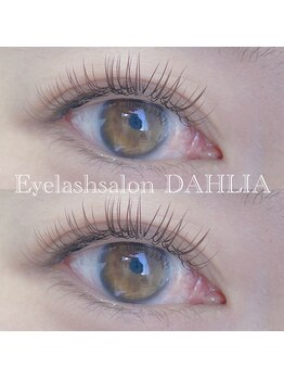 ダリア(DAHLIA)/フラットラッシュブラウンカラー