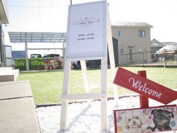 リナネイル(Rina nail)/看板