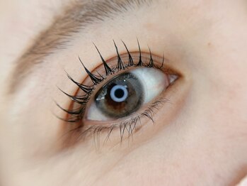 バービーアイラッシュ(Barbie Eyelash)/パリジェンヌ