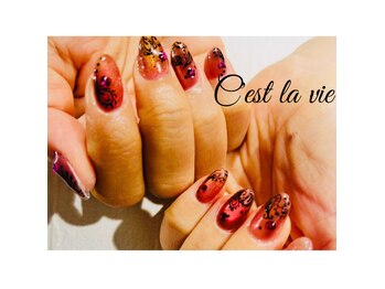 セラヴィ(C’est la vie)