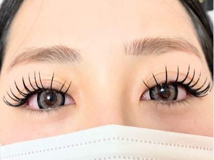 ラヴィ(Lavie)の写真