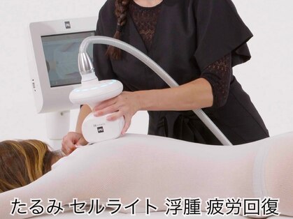 エル(Elle)の写真