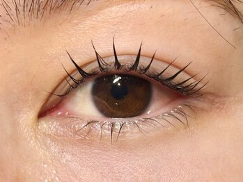 アイラビューティーパーラー(AILA BEAUTY PARLOR)/まつげパーマ