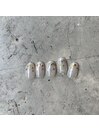 トレンドデザイン定額コース