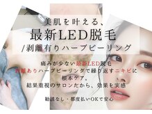 ベガ(Vega)