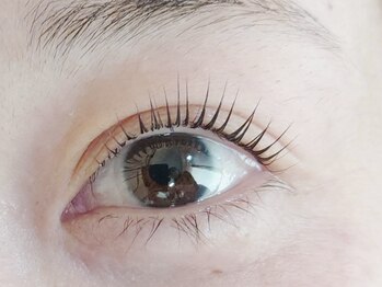 モモ 高円寺(Momo)/まつげパーマ_立ち上げL