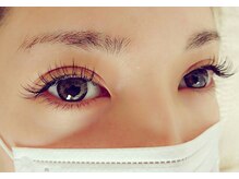 ルピナス(Lupinus)/セーブル140本