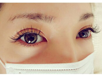 ルピナス(Lupinus)/セーブル140本