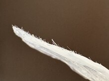 ムゥ(Mwoo)/フェイシャルワックス/顔脱毛