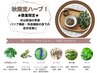 【数量限定☆秋限定ハーブ】よもぎ蒸し(40分)+よもぎ茶付