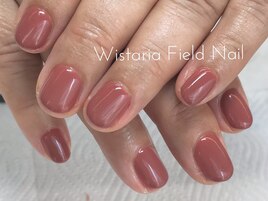 テラコッタ　ワンカラー