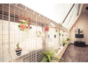 九龍 リラクゼーション 藤沢店/【池袋店内観】