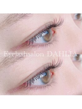 ダリア(DAHLIA)/フラットラッシュブラウンカラー