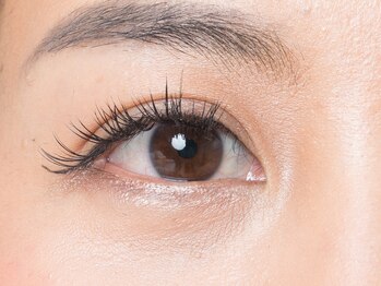 ケーライズネイル アンド アイ(K Rise nail&eye)/パリエク(フラットラッシュ)