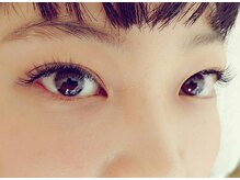 ルピナス(Lupinus)/セーブル140本