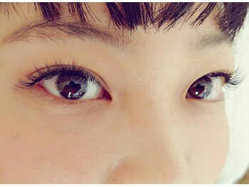 ルピナス(Lupinus)/セーブル140本