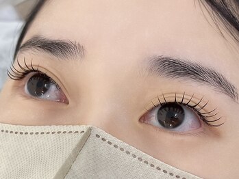 ルピナス 川口(Lupinus)/フラットラッシュ120本