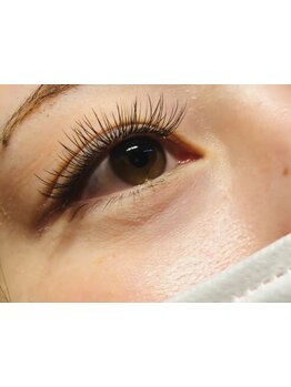 エクステの種類が豊富