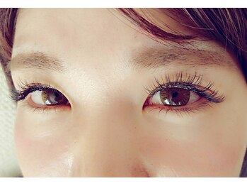 ルピナス(Lupinus)/セーブル180本