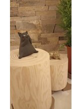 ランポ(Lampo)/うちのニャン♪