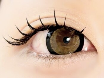 プレモ(Premo)/フラットラッシュ120本