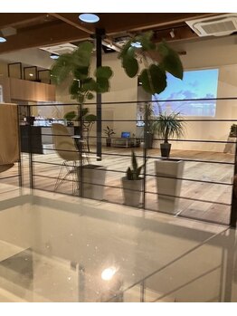 スピードスタイル(Speed Style)/