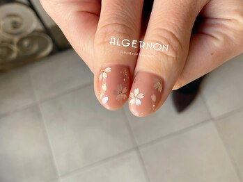 アルジャーノン リトリート(ALGERNON retreat)/桜ネイル
