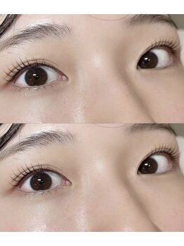 アイラッシュプラン リノ(eyelash plan RINO)/韓国風パーマ