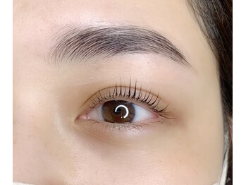 ヴィフ(Vif)/パリジェンヌラッシュリフト