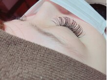 アネラ(ANELA)/フラットラッシュ【１２０本】