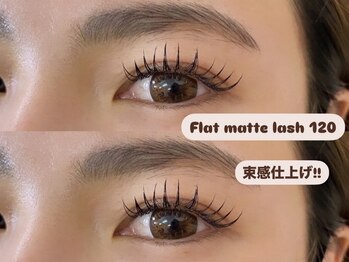 エクラ(Eclat)/フラットマットラッシュ120本