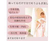 ホットナンバー(HOT number)の雰囲気（デリケートゾーンは経皮吸収が42倍/化学物質を出さない椅子/お鍋）