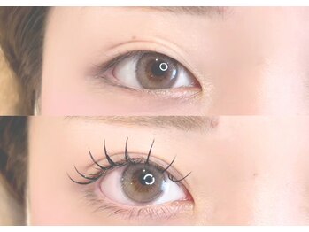 アテリア(ate/lie)/パリエク《ダブルフラット80束》