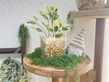 オリーブ(Olive)/よく見ると至るところに…