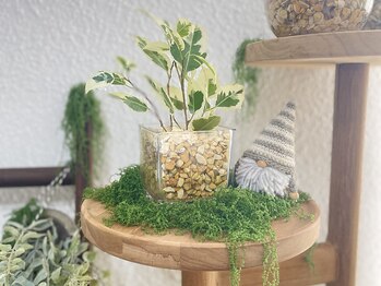 オリーブ(Olive)/よく見ると至るところに…