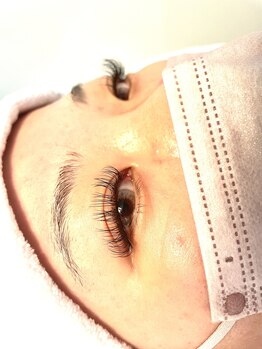 ロータス(Lotus)/【まつエク】フラットラッシュ