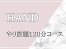 やり放題120分コース