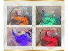 LEDライト酸素ドーム★4色から選べる美肌LEDライト¥2980 ※単品不可OP※