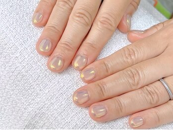 ネリネ(Nerine)/オーロラ