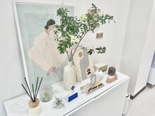 ノエリー(noelie)の雰囲気(清潔感あるプライベートサロン。ラッシュアディクト取り扱い◎)