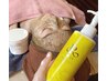 【2回目以降】 陶肌トリートメント+再生因子導入 ¥13750