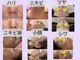 ココサロン(Coco Salon)の写真