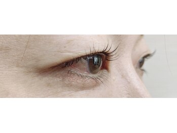 シルフ 石橋店(Sylph)/マツパ