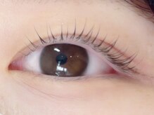 アイラッシュマルヴァ(Eye Lash Malva)/パリジェンヌリフト