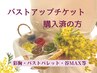 【割引バストチケット】購入済◎美胸　バストアップ　谷MAX バストパレット
