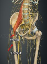 紬(TSUMUGI)/整体と筋膜リリースのマッサージ