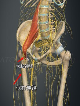 紬(TSUMUGI)/整体と筋膜リリースのマッサージ
