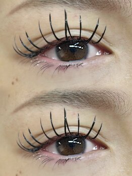 フルール(FLEUR)/バインドロック100束