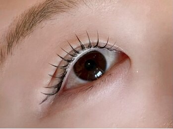 ソファー 八王子(sofa)/フラットラッシュ100 【八王子】