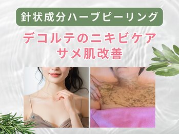 プライベートエステサロン トゥインクル/デコルテのニキビ・跡集中ケア
